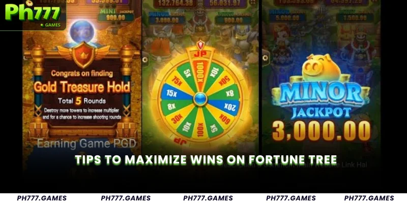 vipclub casino how to bet 3d lotto online